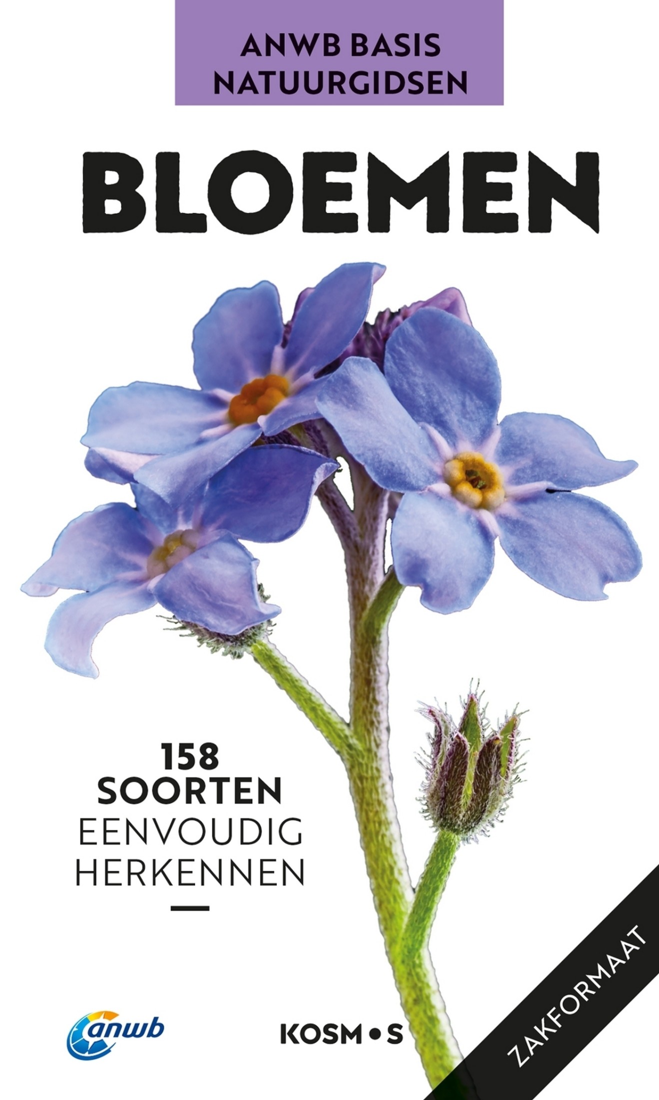 ANWB Basis natuurgids - Bloemen