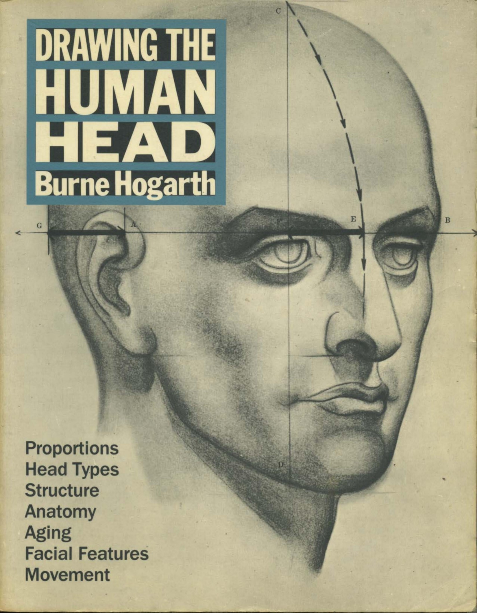 Drawing The Human Head