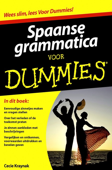 Spaanse grammatica voor Dummies