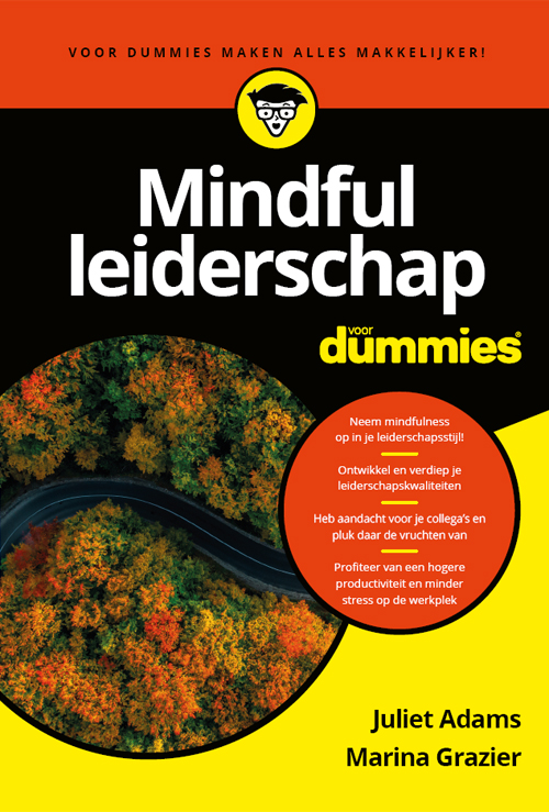Mindful leiderschap voor dummies